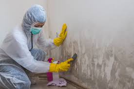 Best Real Estate Mold Inspection  in Chester, CA